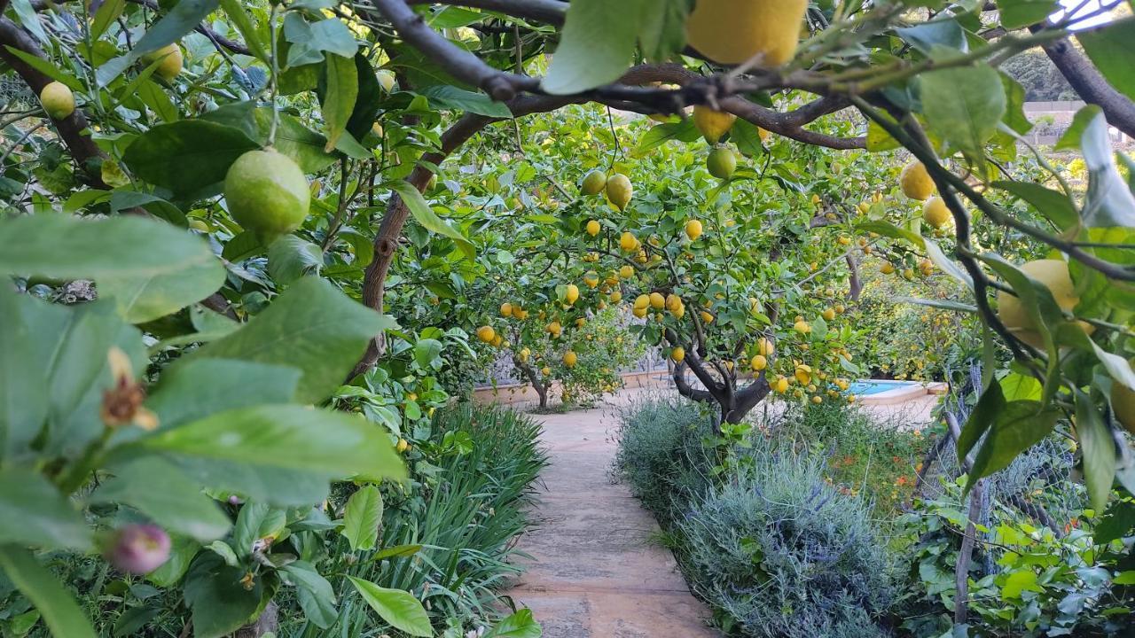 Villa Ca Na Menga Sóller Esterno foto