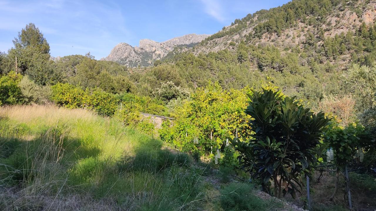 Villa Ca Na Menga Sóller Esterno foto